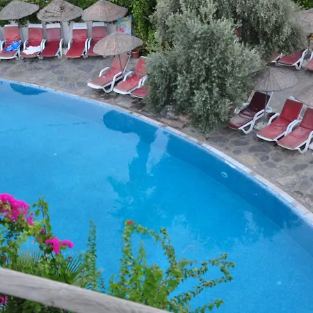 Ayaz Aqua 5*
